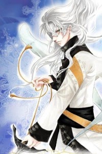 (吸血鬼騎士+網王)暗夜靈舞